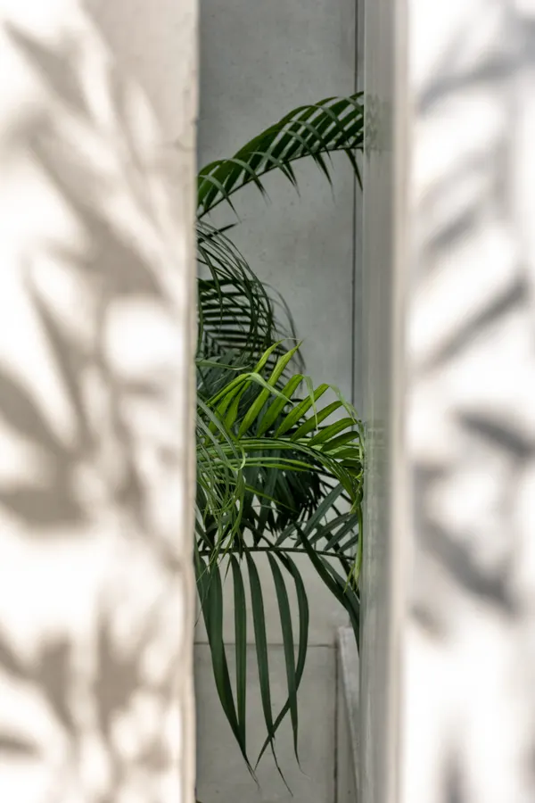 AK + IQ Residence — Residential architectural photography, Lahore
