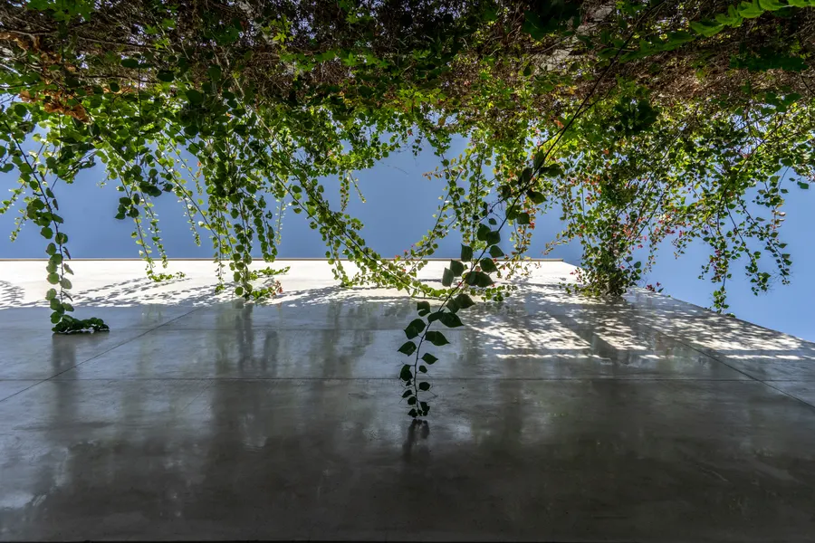 AK + IQ Residence — Residential architectural photography, Lahore