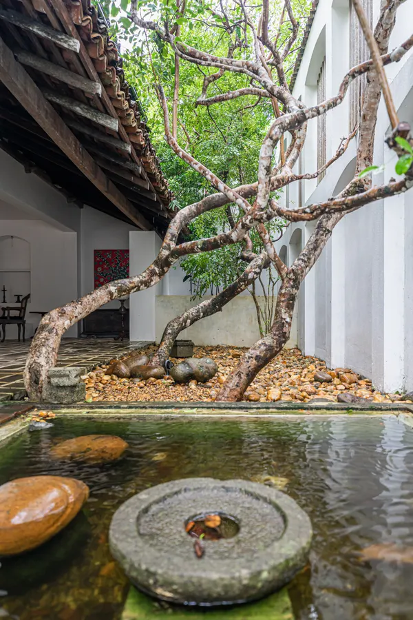 Ena de Silva House — Residential architectural photography, Bentota