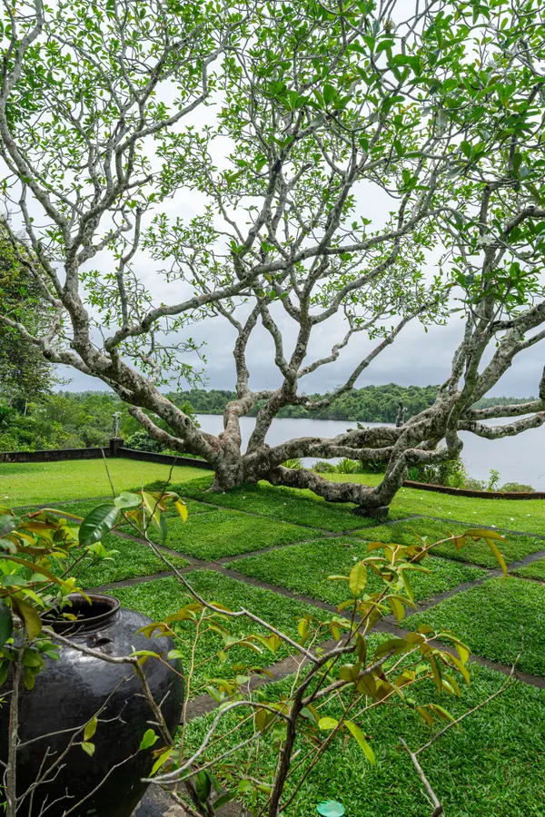 Lunuganga — Landscape architectural photography, Bentota