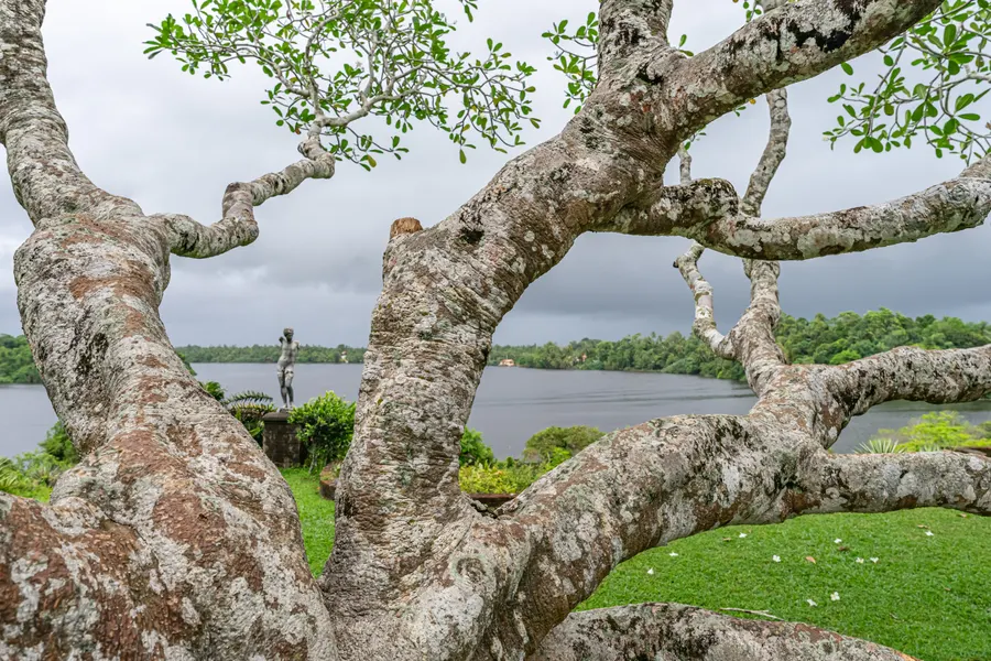 Lunuganga — Landscape architectural photography, Bentota
