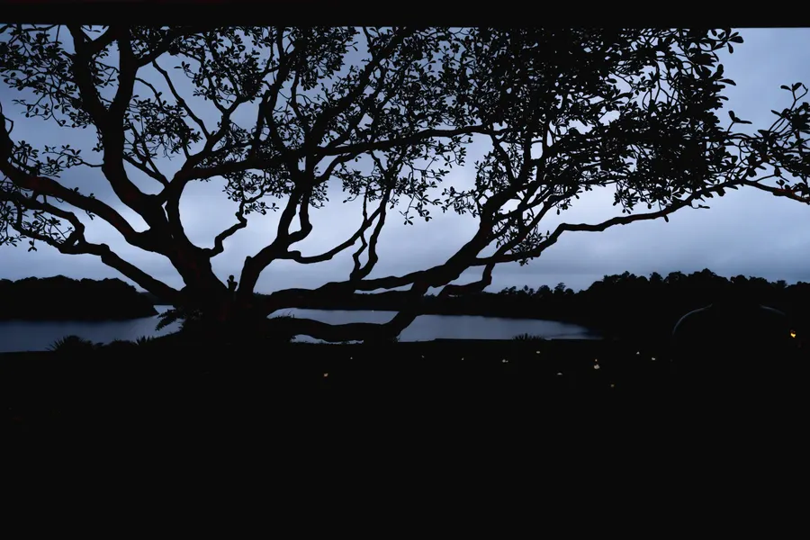 Lunuganga — Landscape architectural photography, Bentota