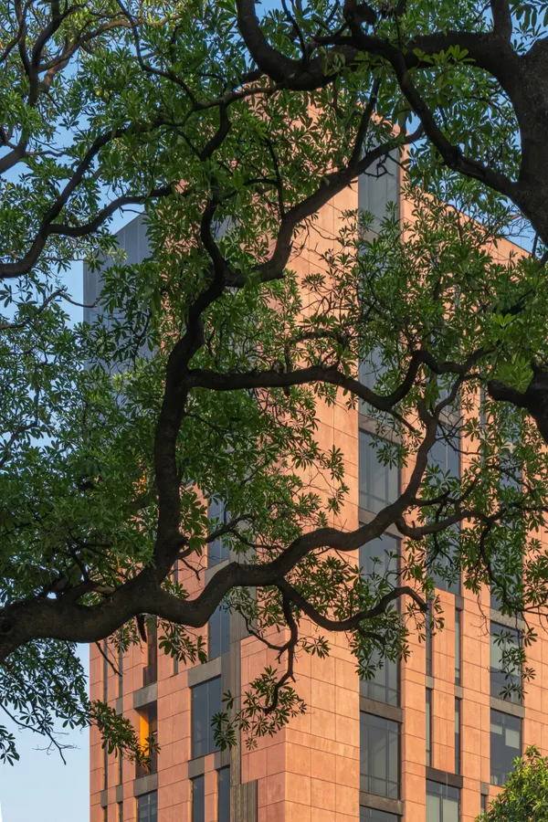 The Workplace — Corporate architectural photography, Lahore
